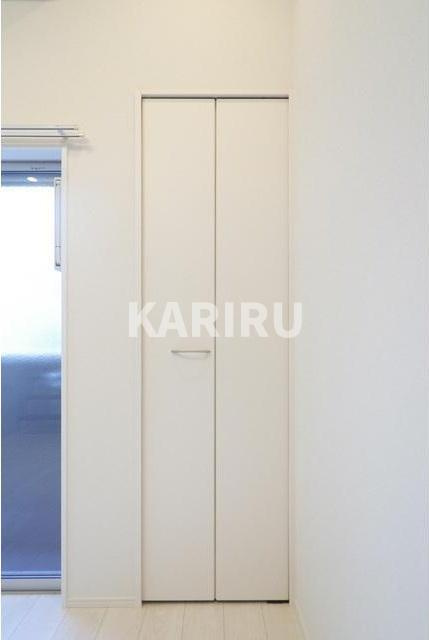 ALLUREPREMIERの収納