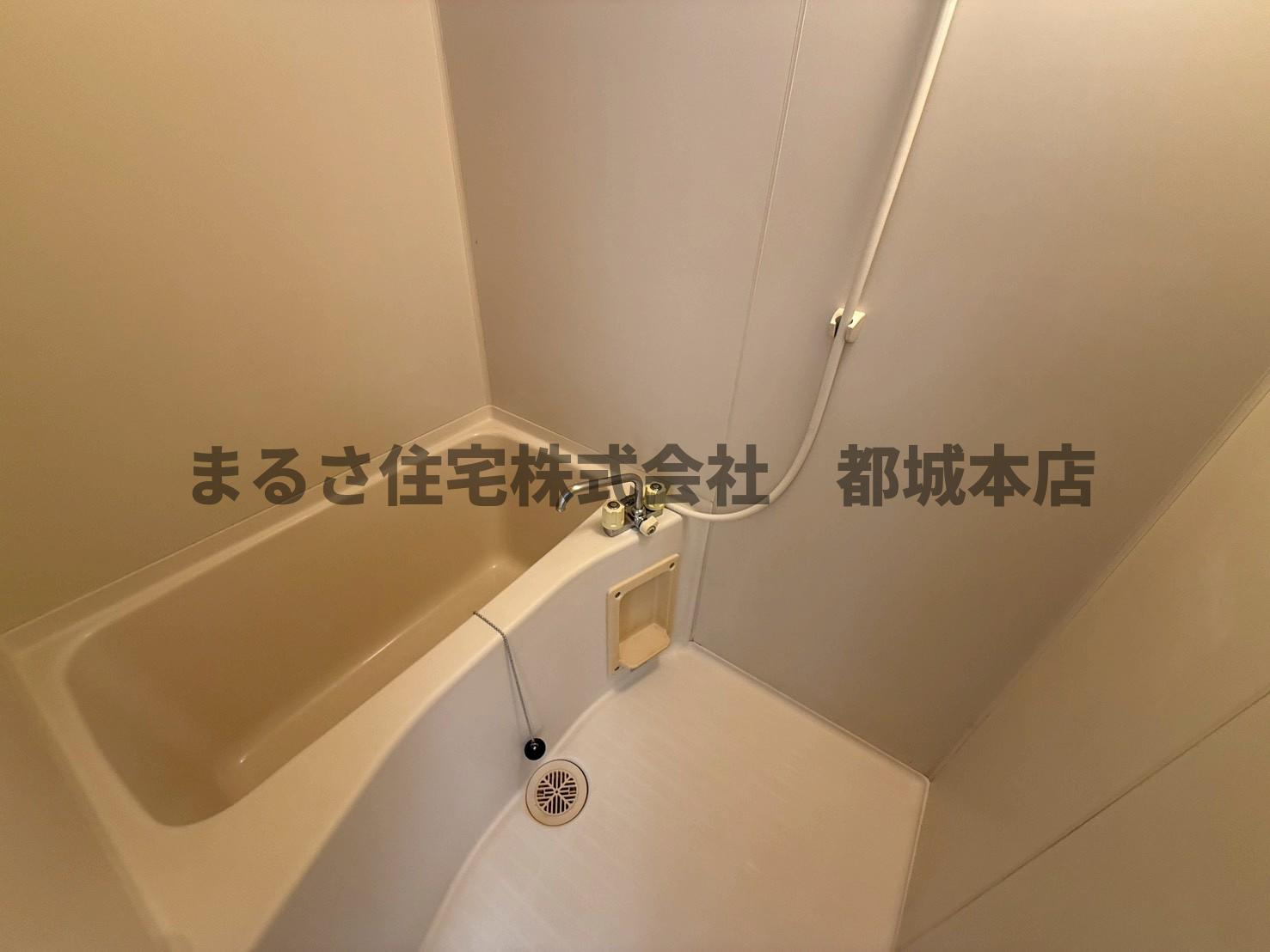 イーストウッドの浴室
