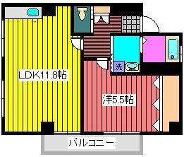 新井ビル（白山5丁目）の間取り