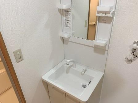 新井ビル（白山5丁目）の洗面所