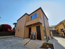 ハウスペンギンの画像