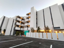 Mimosa北朝霞の画像