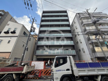 LEGALAND+猫 MIYAKOJIMAの画像