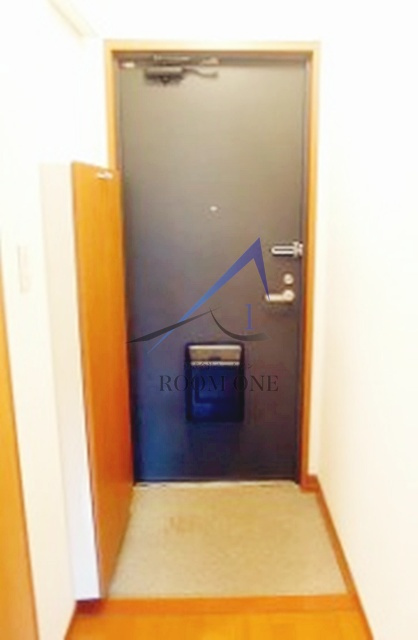 ヴィップ弥生の玄関|玄関です。