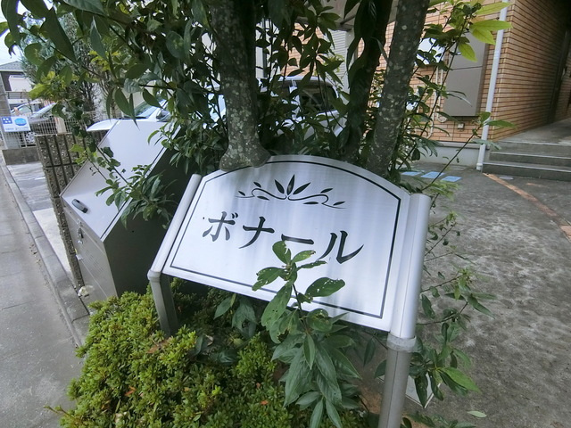 ボナールの周辺