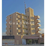 プリムローズタカダの画像