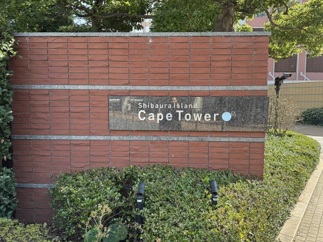 【その他】 | ★仲介手数料無料★ 芝浦アイランドケープタワー（南東向きリビングからレインボーブリッジを望める眺望）