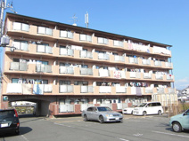 D．Mカルチャーの画像