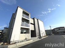 アミコート【BELS認証】の画像