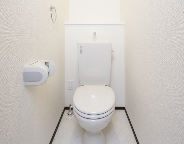 Excellsia（エクセルシア）のトイレ|写真はイメージです。色仕様は現況優先になります。