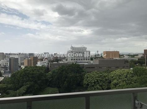 プレサンス丸の内城雅の展望