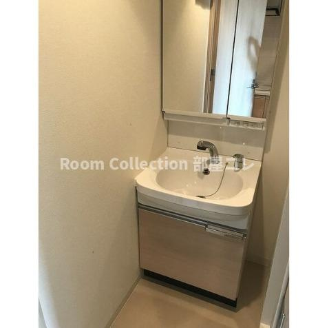 プレサンス丸の内城雅の洗面所