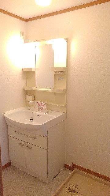 グランデカメリア山の手Ⅰの洗面所