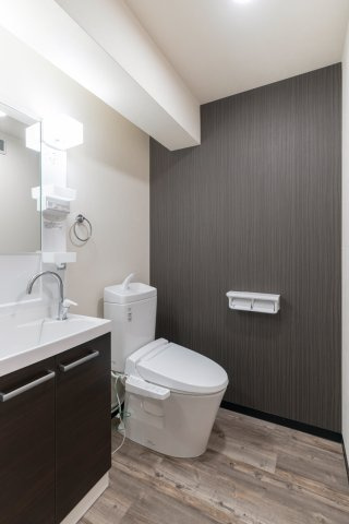 フォセット南行徳の洗面所