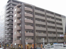 グリシーナ　オーブの画像