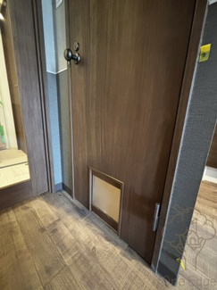 【内装】 | LEGALAND+猫 MIYAKOJIMA