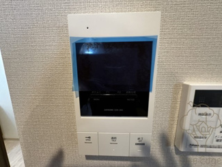  | LEGALAND+猫 MIYAKOJIMA