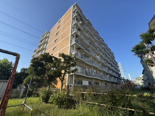 ハイマート幸の画像