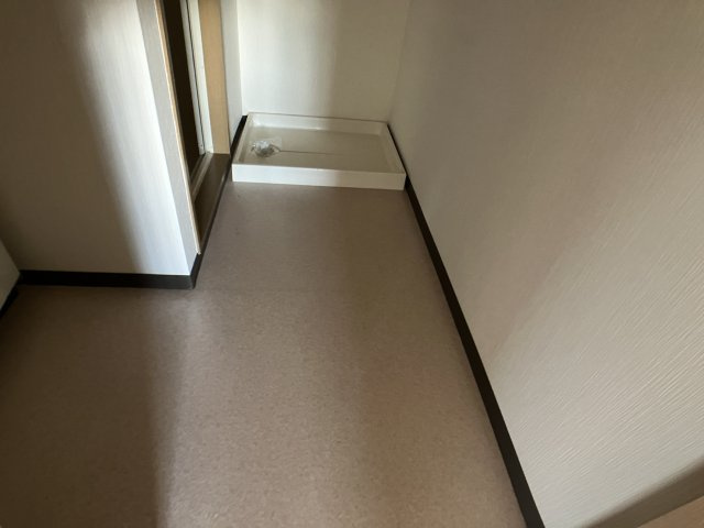 カサ・フェリスⅢの洗面所