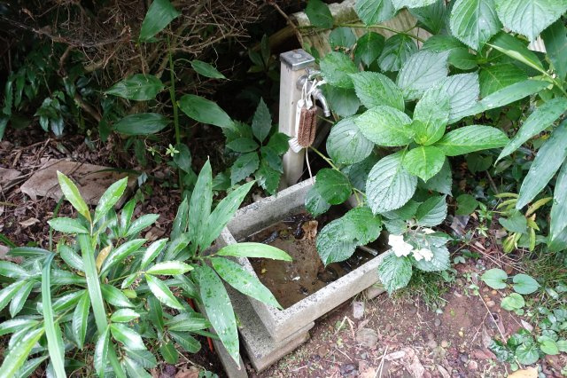 鹿嶋市中Ｉ戸建の庭