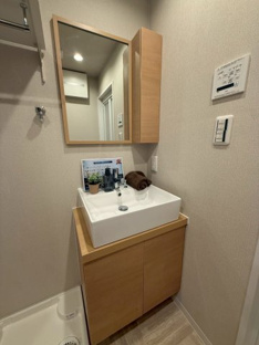 【独立洗面台】向島ニュータウン第三街区C棟 