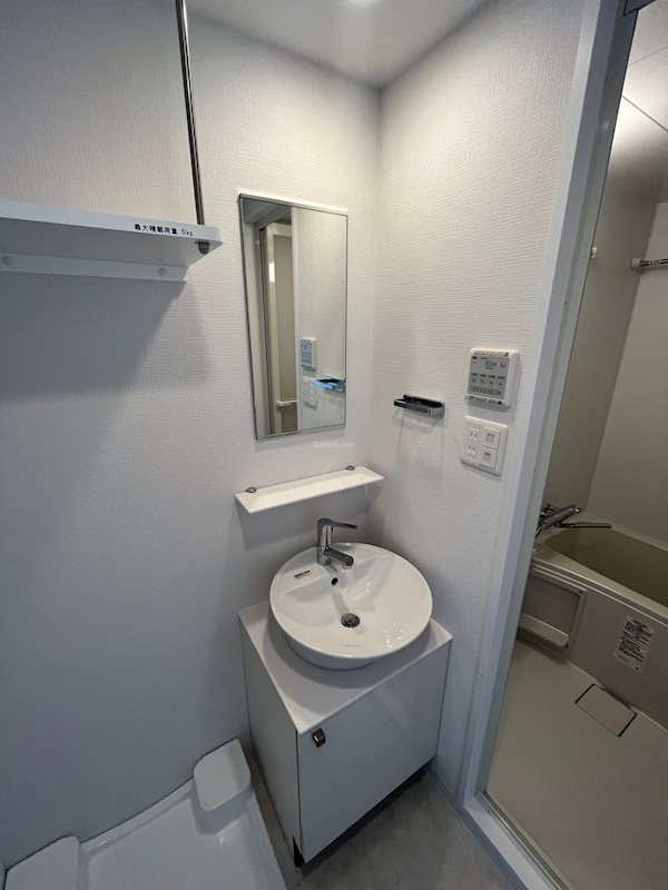 エスリード難波ザ・プレミアの洗面所|スペースが確保できる洗面所です