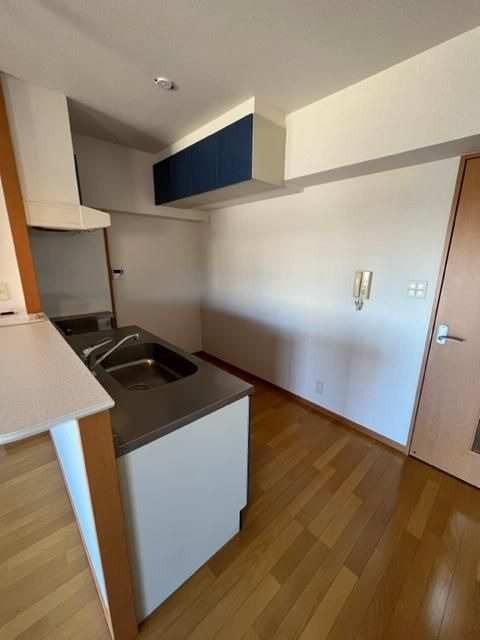 ラフィーク板付の内装