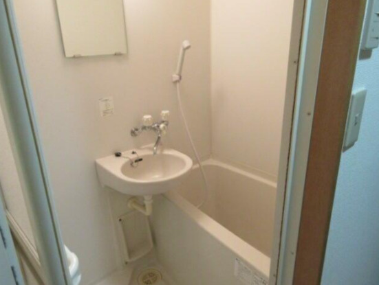 プチグランデラトールの洗面所