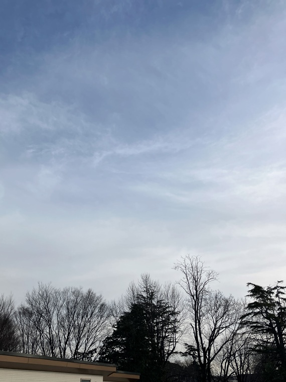 ミッキーハイムの展望