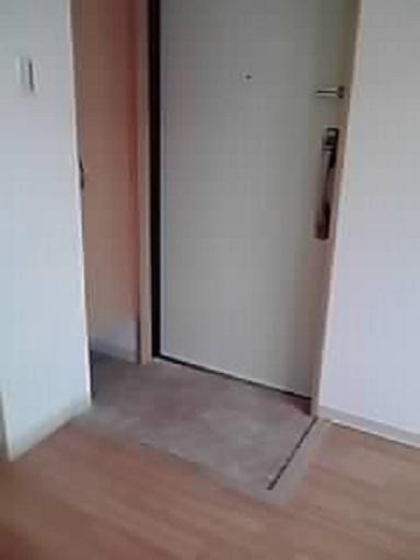 ミックコート東三国の玄関