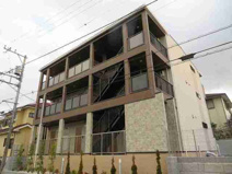 セレスフィオーレの画像