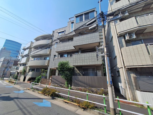 チェレステの展望