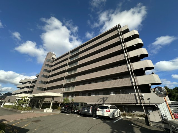 ロイヤルパレス八乙女の画像