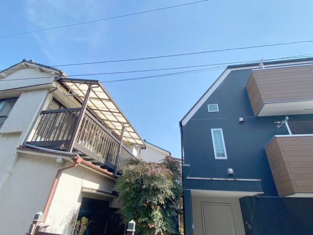 フローラ・フジタの展望