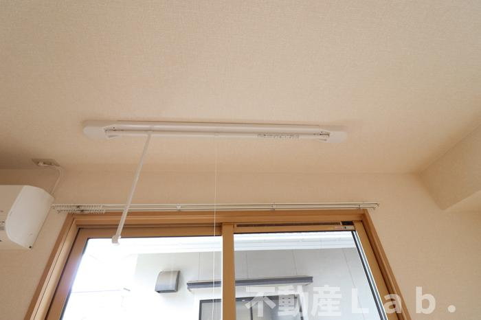 セジュールカトレアのその他