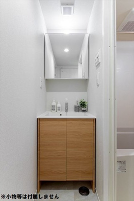 【独立洗面台】 | La foresta komagome(ラ フォレスタ コマゴメ)