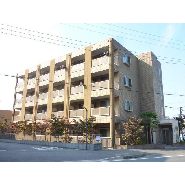 アンプルール フェール COCO