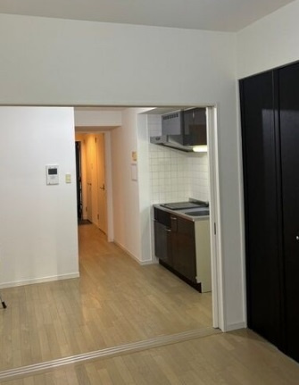 大阪市中央区松屋町住吉の賃貸マンションの居間・リビング