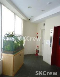 【その他】 | CimaCoppi（チマコッピ） 