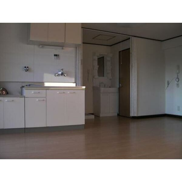 岸和田市吉井町１丁目の賃貸マンションのキッチン