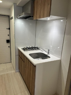 【キッチン】 | REGALIZ新高円寺 | システムキッチン。