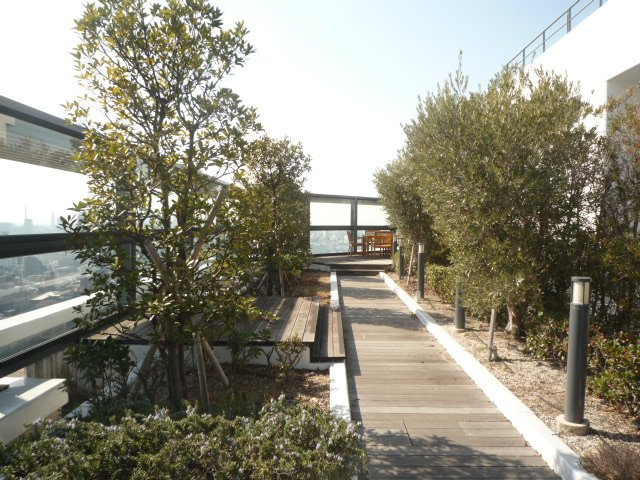 ルネッサンスタワー上野池之端のその他共用部分|屋上庭園