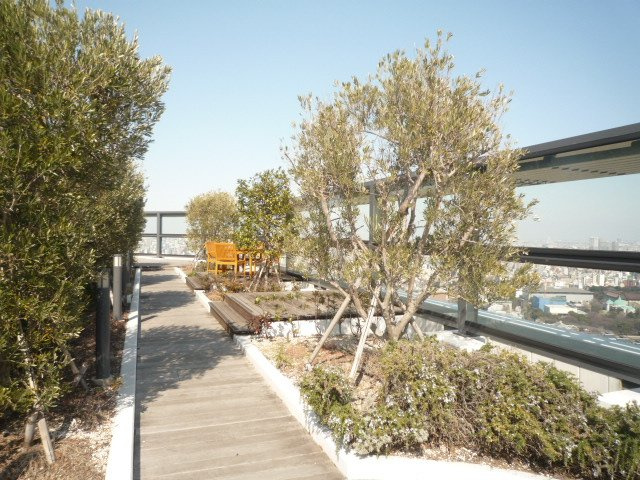 ルネッサンスタワー上野池之端のその他共用部分|屋上庭園