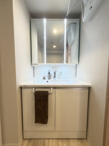 【独立洗面台】フラワータウン・アミル２１アマリリス館 