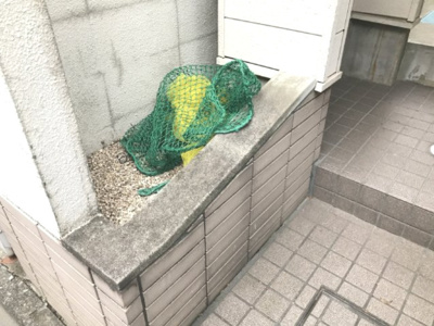 【その他共用部分】 | マリオン国立