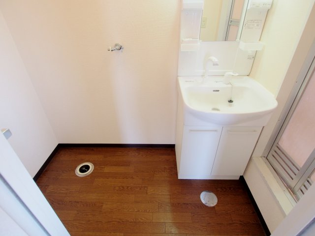 エクセル向井C棟の洗面所