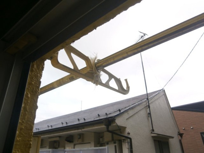 【その他】 | ぱんぷきん・はうす