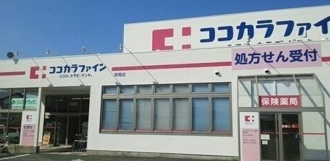 カーサパーチェの周辺|ココカラファインまで650m