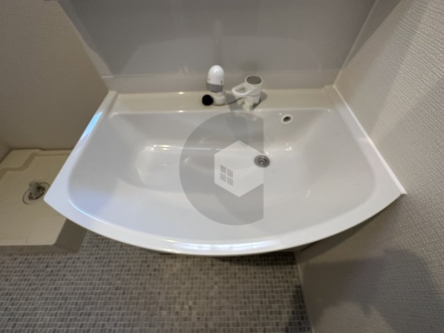 エスベランサ A棟の洗面所