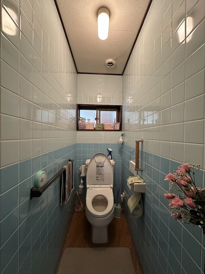 中古平屋住宅　洞のトイレ